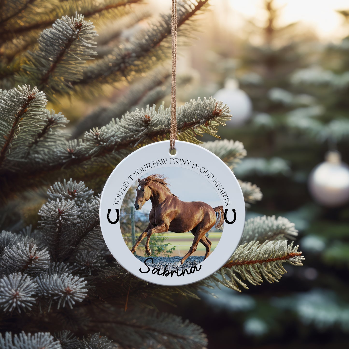 Personalised Pet Memorial Bauble Photo Keepsake